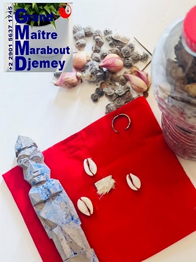 TÉMOIGNAGE PORTFEUILLE MAGIQUE